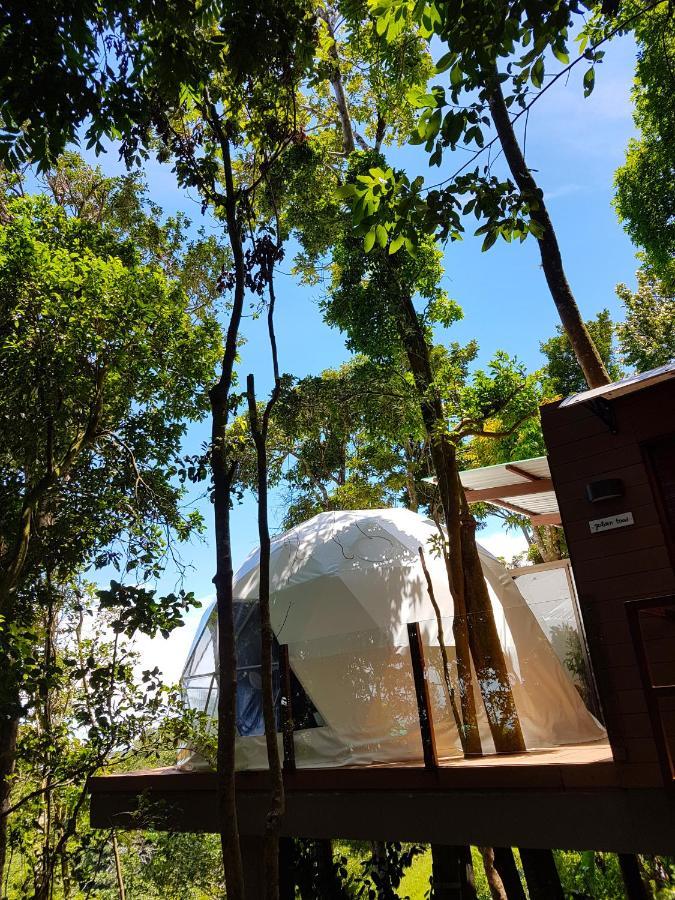 Chira Glamping Resort Monteverde Ngoại thất bức ảnh