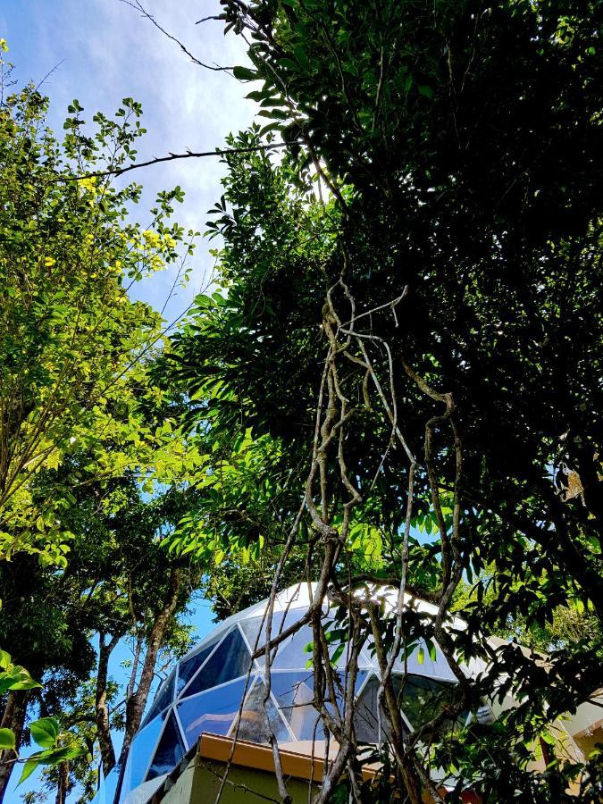 Chira Glamping Resort Monteverde Ngoại thất bức ảnh