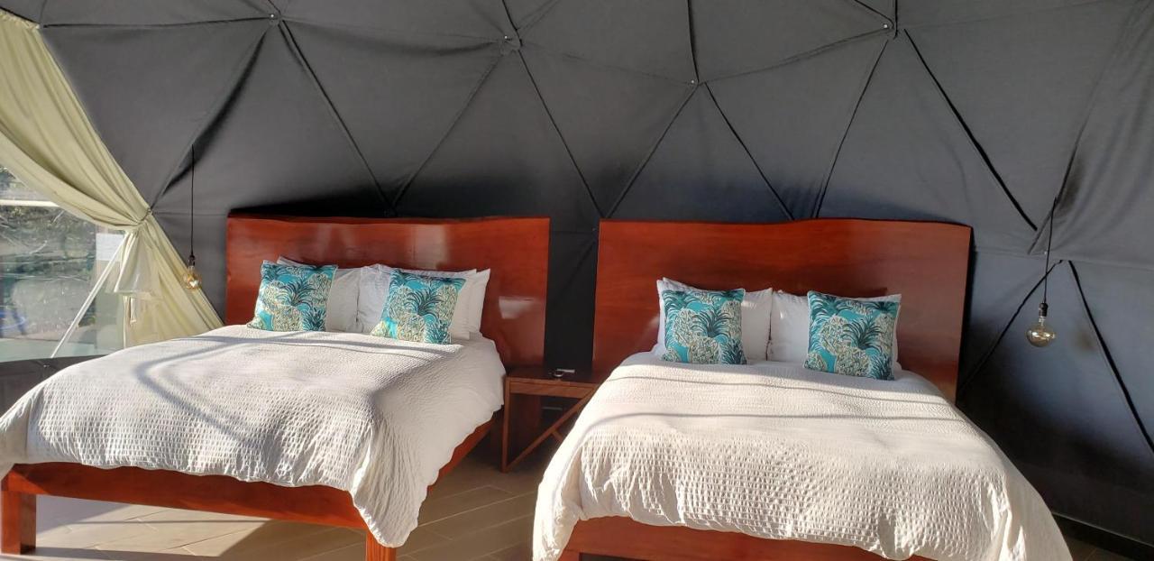 Chira Glamping Resort Monteverde Ngoại thất bức ảnh
