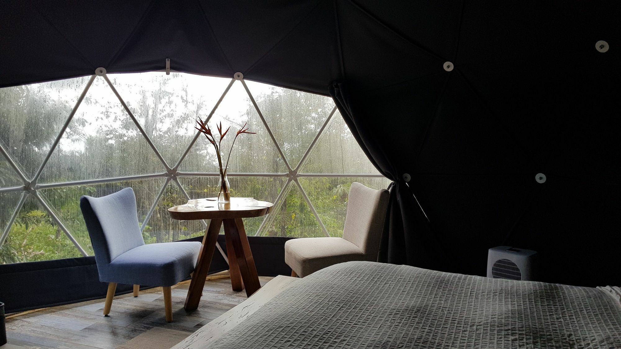 Chira Glamping Resort Monteverde Ngoại thất bức ảnh