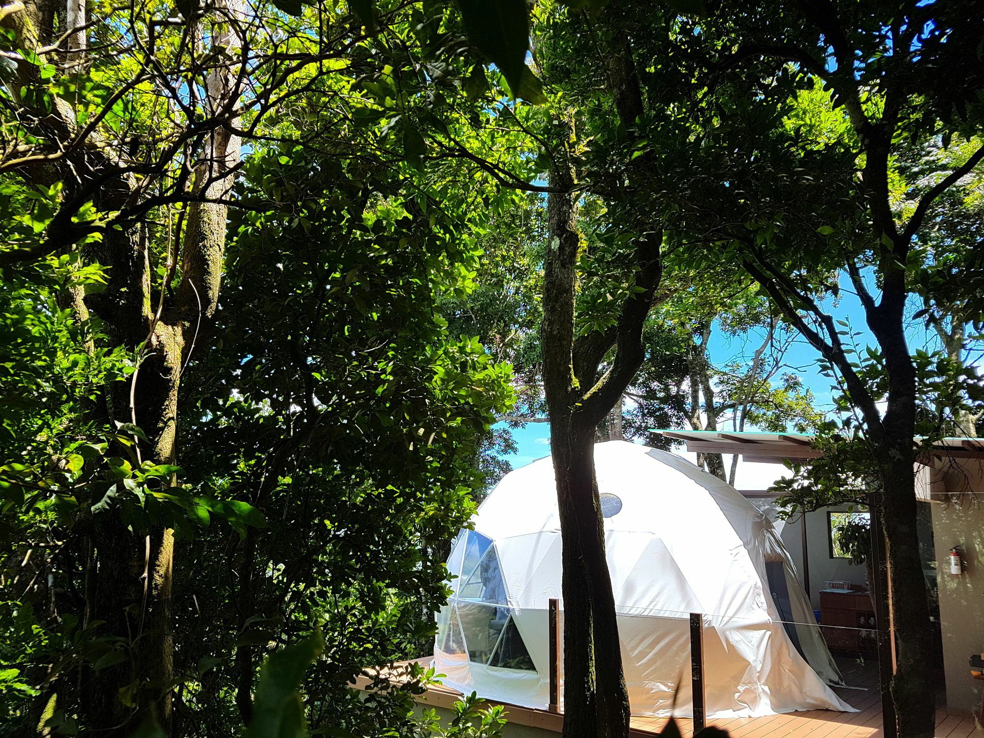 Chira Glamping Resort Monteverde Ngoại thất bức ảnh