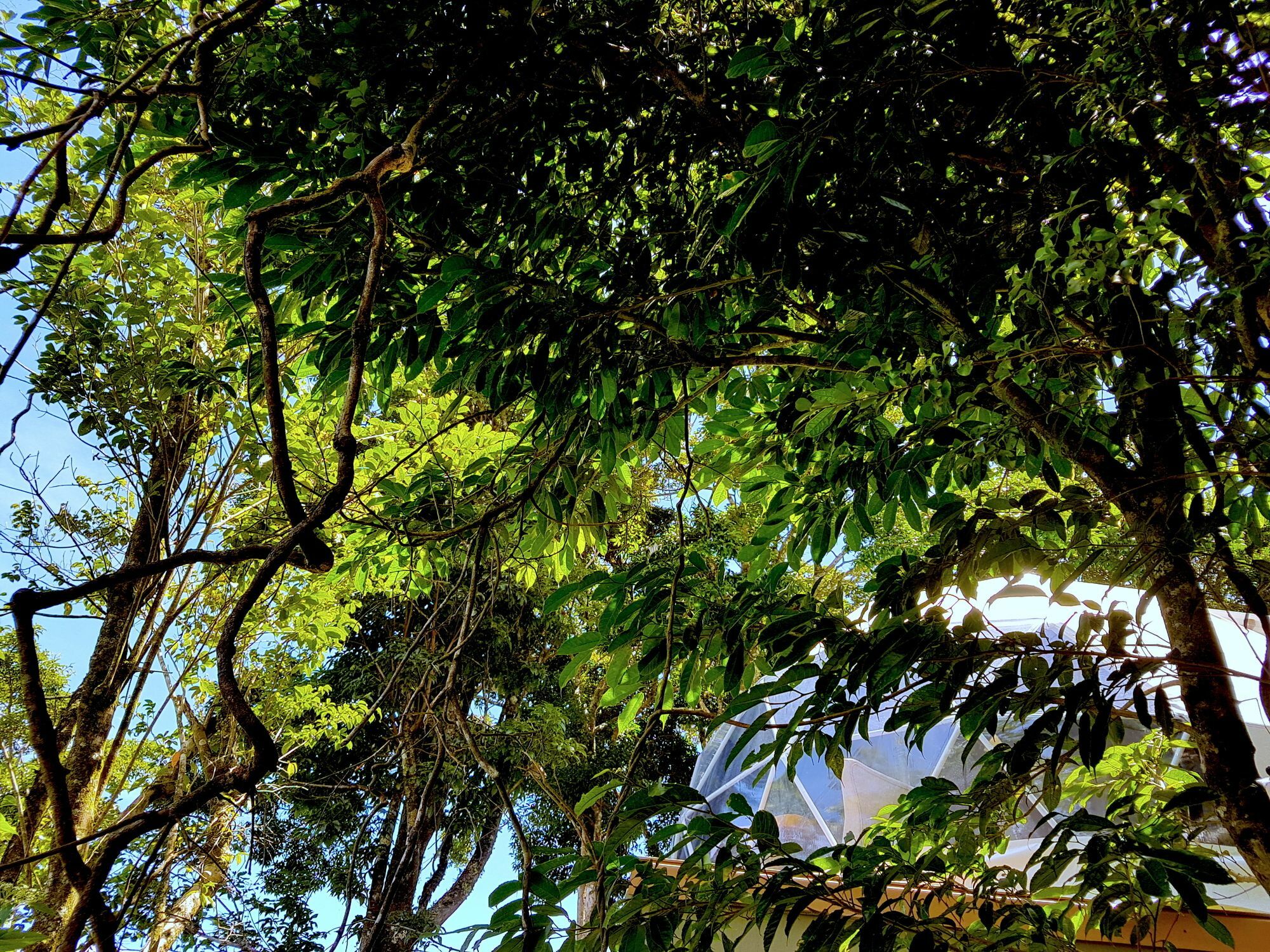 Chira Glamping Resort Monteverde Ngoại thất bức ảnh