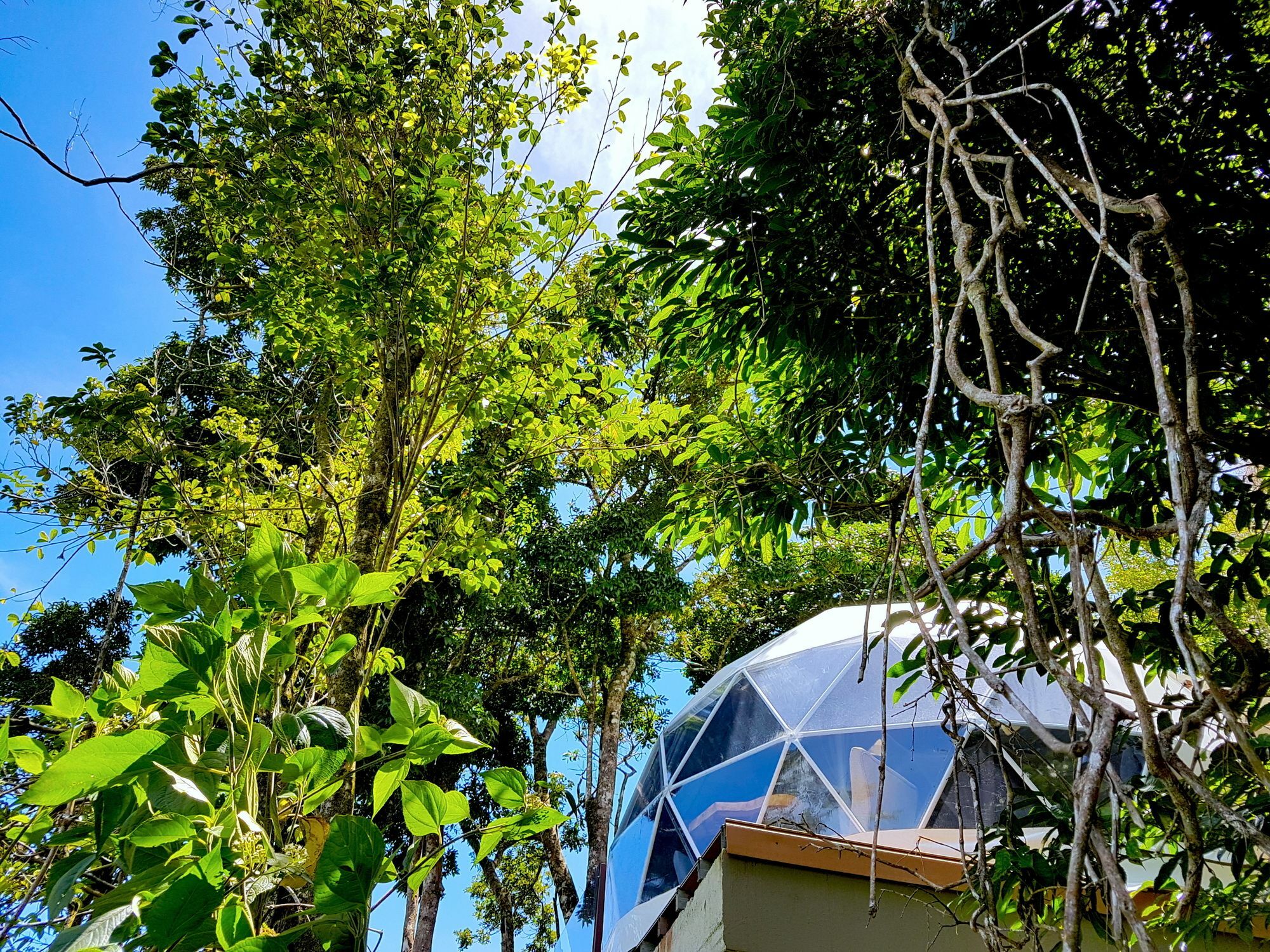 Chira Glamping Resort Monteverde Ngoại thất bức ảnh